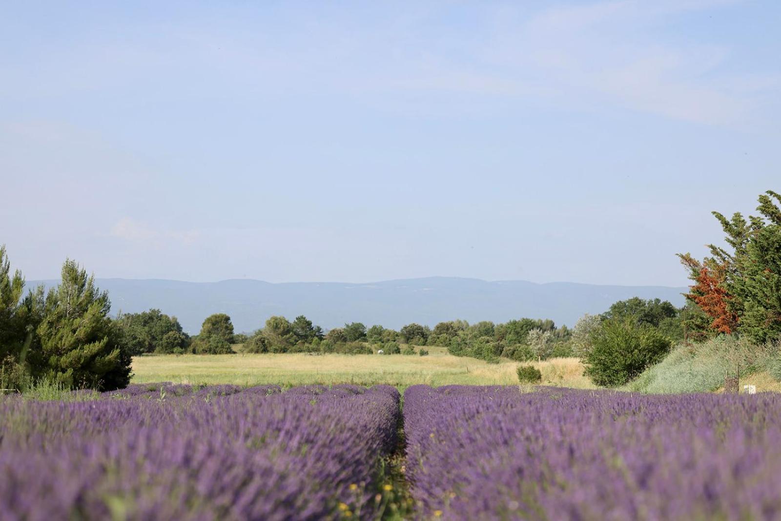 Le Clos Les Eydins Bonnieux Exterior foto